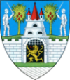 Satu Mare