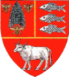 Vaslui